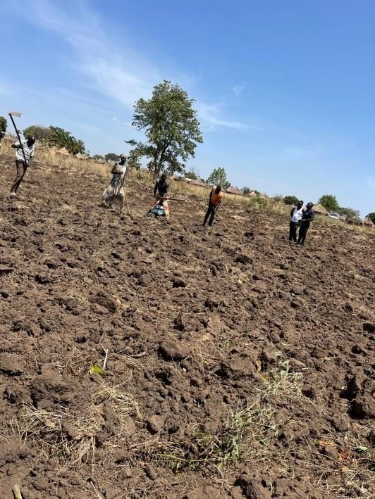 Ploughing land for the Hope Shade fruit field